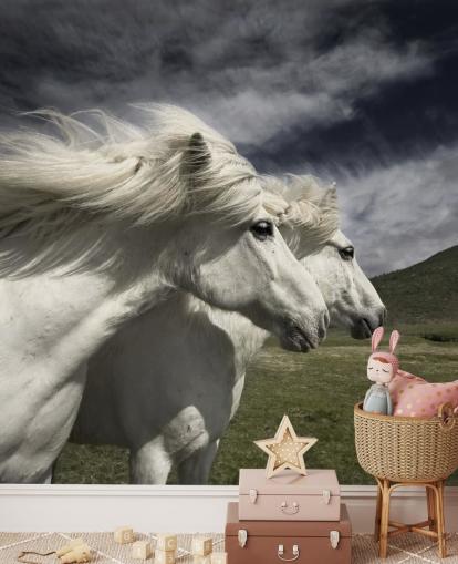 Mural de pared Pareja de caballos blancos en campo 