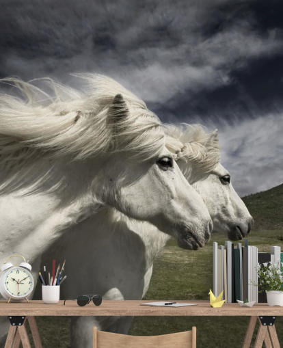 Mural de pared Pareja de caballos blancos en campo 