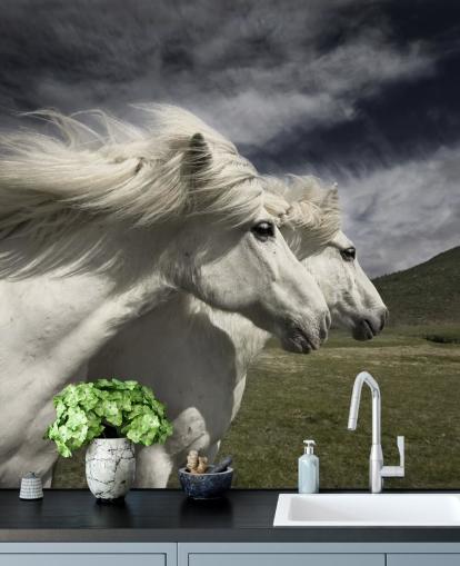 Decorazione murale con coppia di cavalli bianchi nel campo 