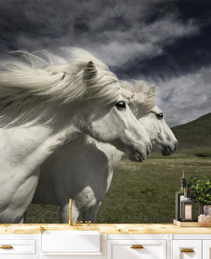 Décoration murale couple de chevaux blancs dans un champ Décoration murale couple de chevaux blancs dans un champ