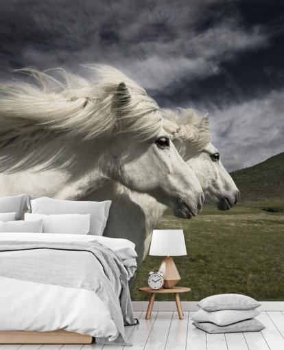 Mural de pared Pareja de caballos blancos en campo 