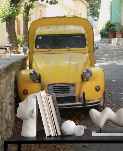 2CV Van Wall Mural Wallpaper