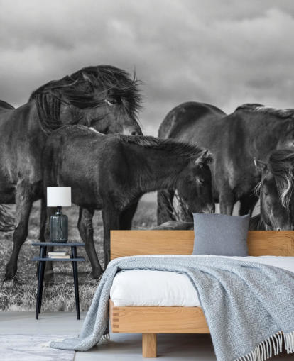 zwart-wit paarden behang