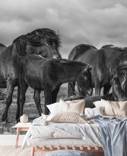 Papel pintado Caballos blancos y negros