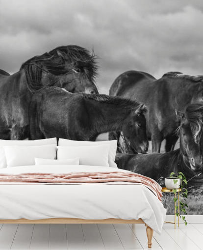 Black and White Horses Wallpaper