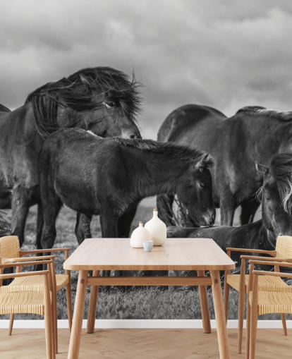 zwart-wit paarden behang