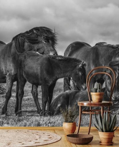 Papel de Parede Cavalos Preto e Branco