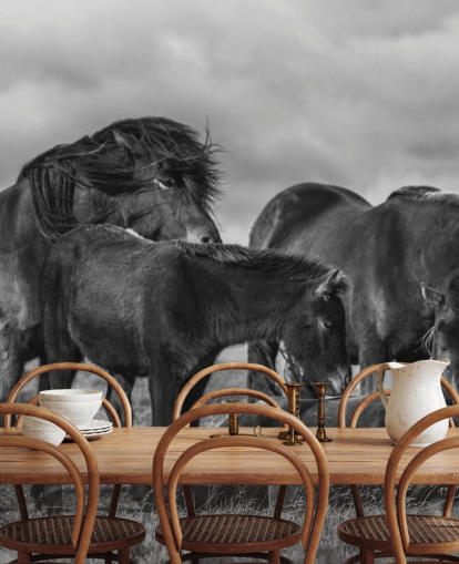 Papel de Parede Cavalos Preto e Branco