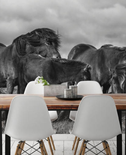 Papier Peint Chevaux Noir et Blanc