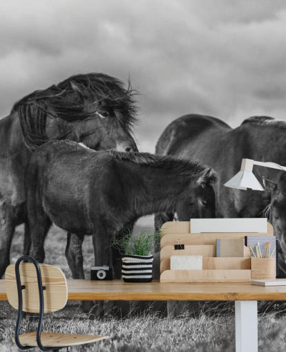 Black and White Horses Wallpaper