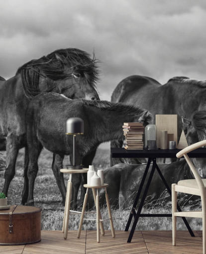 Papier Peint Chevaux Noir et Blanc Papier Peint Chevaux Noir et Blanc