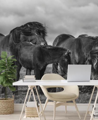 Black and White Horses Wallpaper
