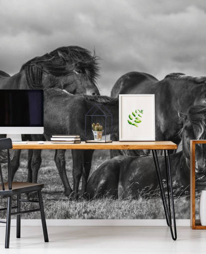 Black and White Horses Wallpaper