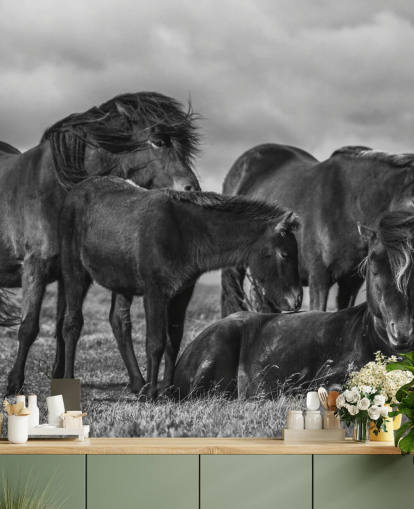 Papel pintado Caballos blancos y negros