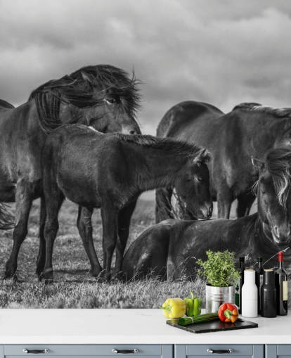 Papier Peint Chevaux Noir et Blanc