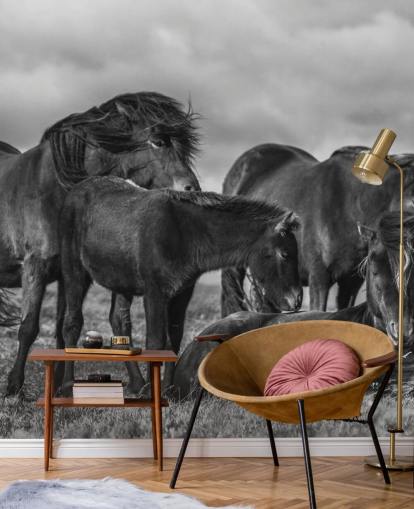 zwart-wit paarden behang