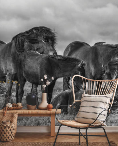 zwart-wit paarden behang