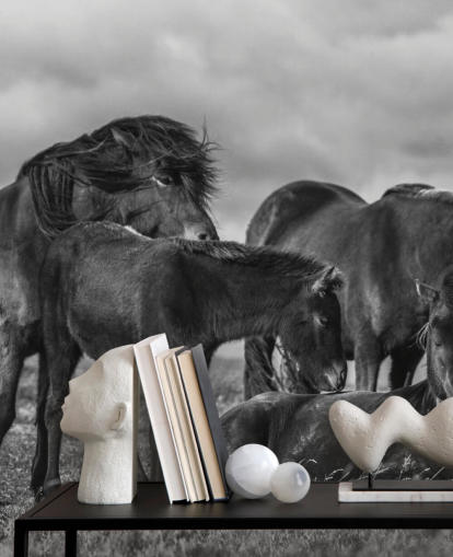 Black and White Horses Wallpaper