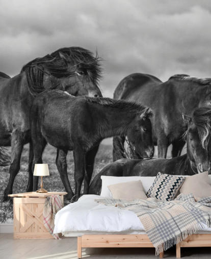 Papel pintado Caballos blancos y negros