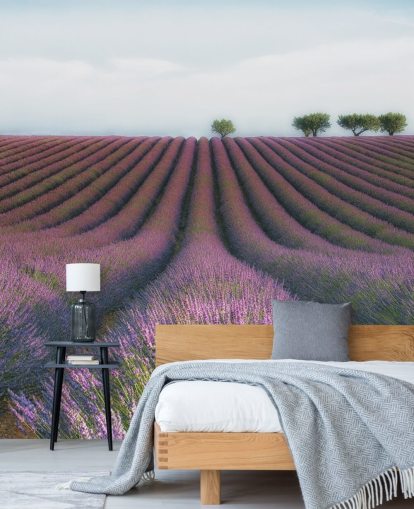 Rows of Lavender Wallpaper