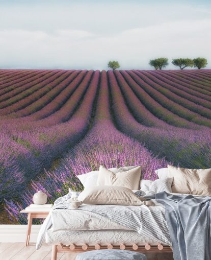 Rows of Lavender Wallpaper