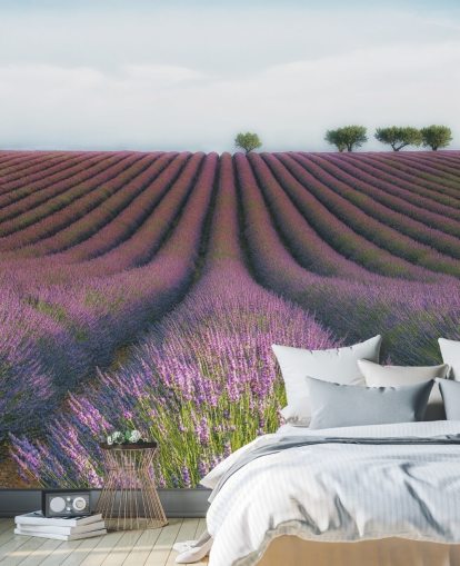 Rækker af lavendel tapet