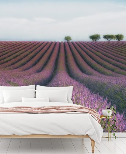 Rijen lavendel behang