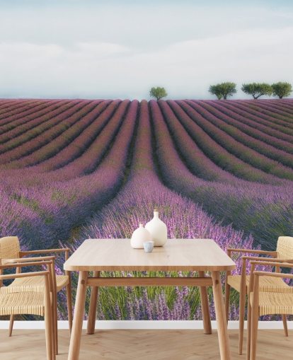 Rows of Lavender Wallpaper