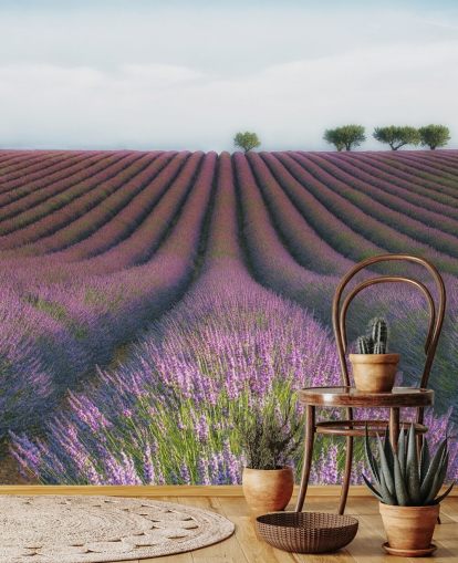 Papel de Parede Linhas de Lavanda