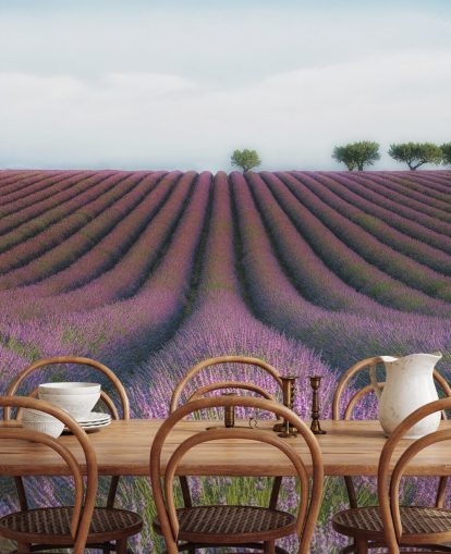 Papel de Parede Linhas de Lavanda