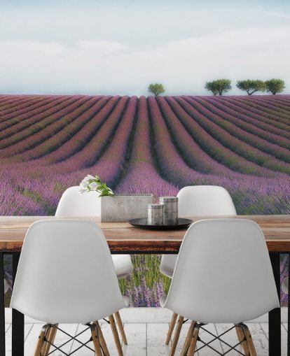 Rows of Lavender Wallpaper