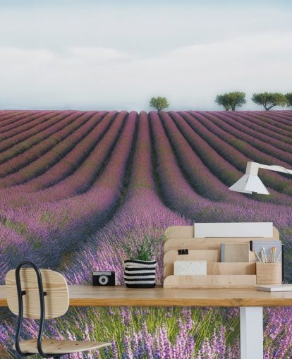 Rows of Lavender Wallpaper