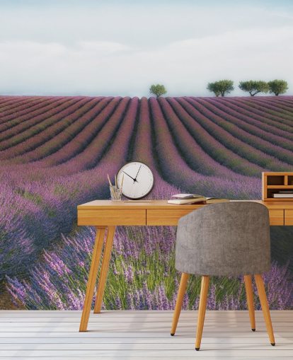 Rows of Lavender Wallpaper Rows of Lavender Wallpaper