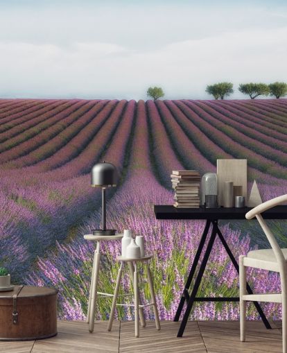 Papel pintado Filas de lavanda