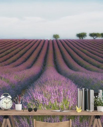 Rækker af lavendel tapet