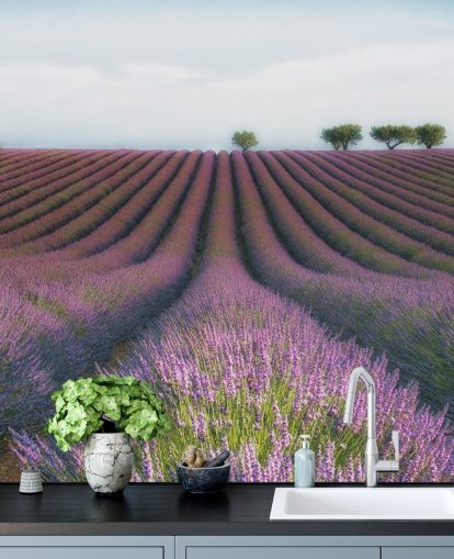 Lavendel-Reihen Tapete