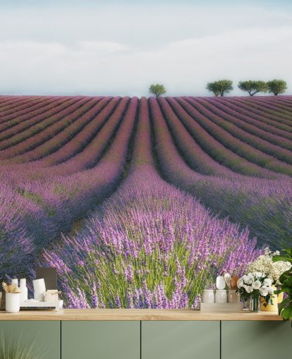 Lavendel-Reihen Tapete