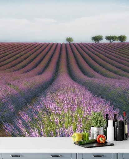 Carta da parati righe di lavanda