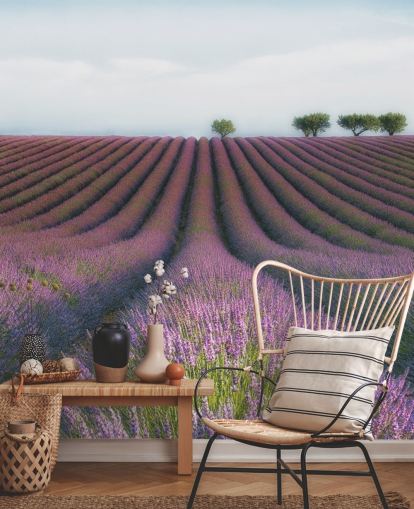 Rækker af lavendel tapet Rækker af lavendel tapet