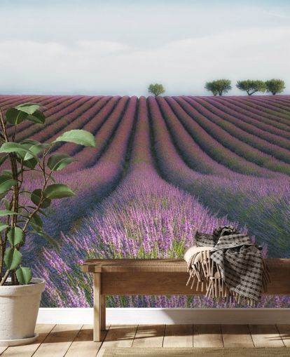 Carta da parati righe di lavanda Carta da parati righe di lavanda