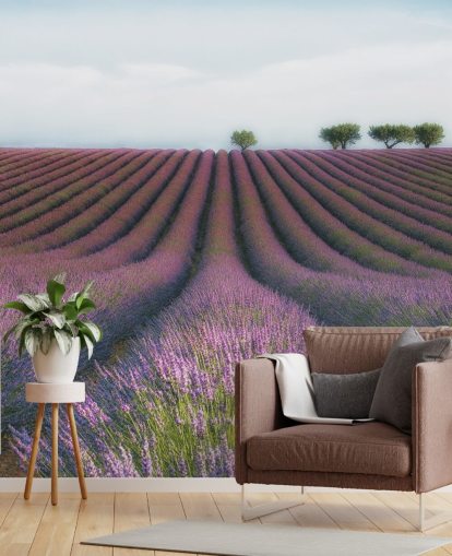 Papel de Parede Linhas de Lavanda