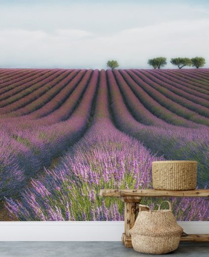 Rijen lavendel behang Rijen lavendel behang