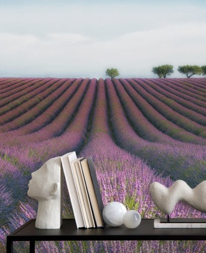 Lavendel-Reihen Tapete
