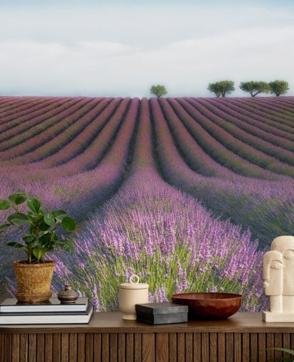 Rækker af lavendel tapet
