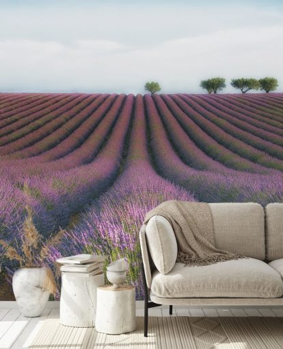 Papel pintado Filas de lavanda