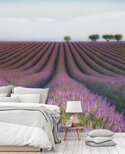 Papel pintado Filas de lavanda