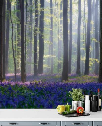 misty bluebell forest wallpaper