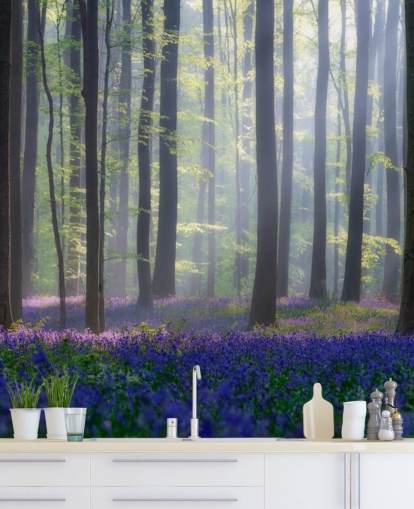 misty bluebell forest wallpaper
