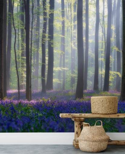 misty bluebell forest wallpaper misty bluebell forest wallpaper
