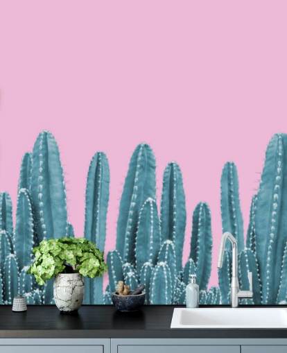 papier peint cactus rose et bleu sarcelle